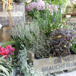 01 Die Welt braucht Blumen.JPG