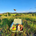 AbendBrotZeit mit Biene_Sommer_1000px.jpg