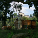 Bienenbeuten unterhalb der Festung Königstein
