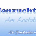 Forellenzucht am Lachsbach LOGO.jpg