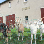 Foto_02.JPG