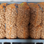 Kartoffeln