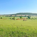 LGKS_Gutes-von-Hier_10.jpg
