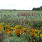 garten1